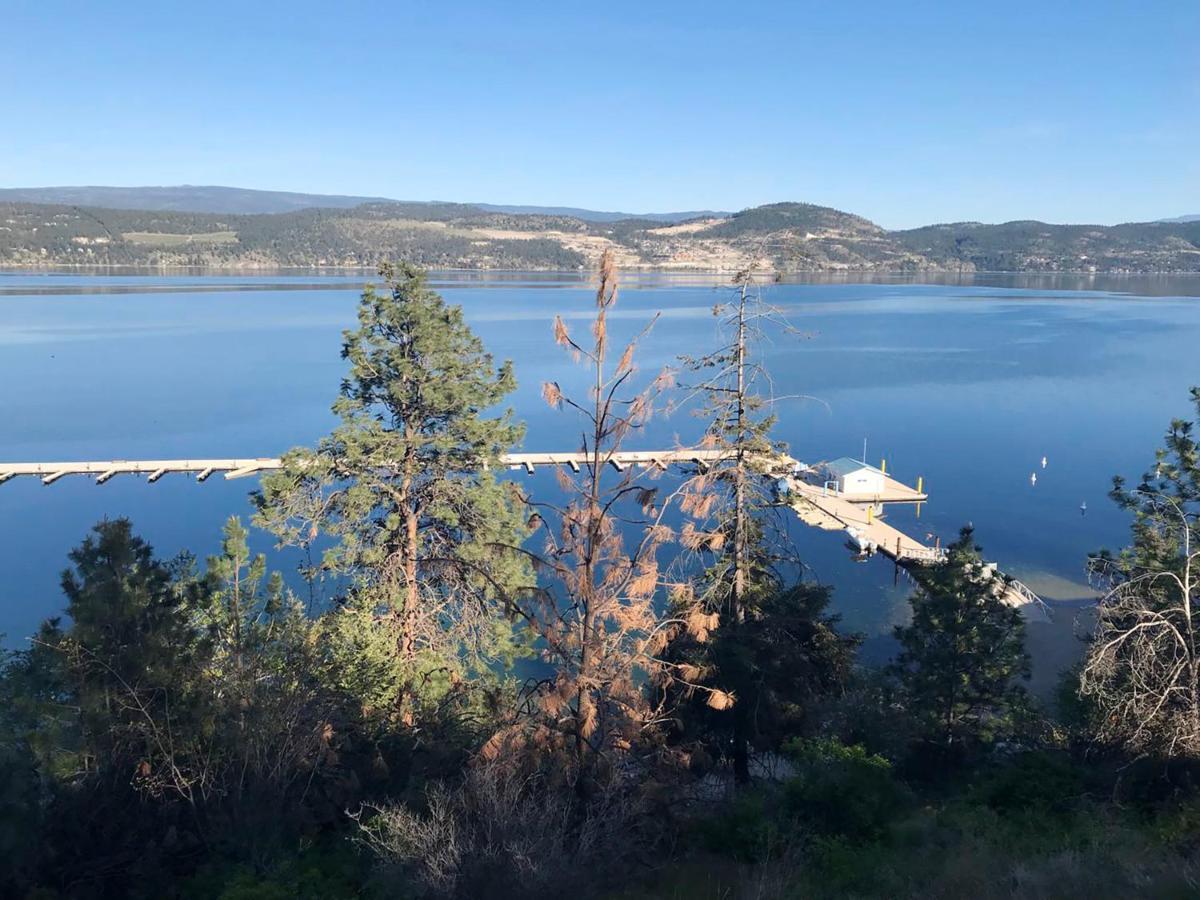 Cozystay Signature Lake Okanagan Resort Kelowna Exterior photo